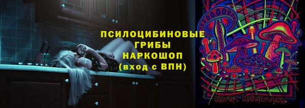 spice Абаза