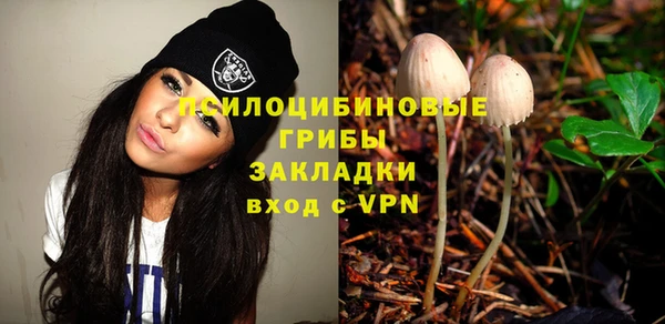 spice Абаза