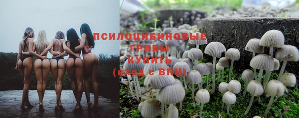 синтетический гашиш Абдулино