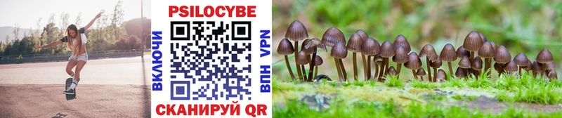 Галлюциногенные грибы Psilocybine cubensis Дальнереченск